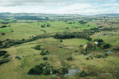 Imagen 2 de 15 de Chacra En Venta En Las Cañas - Zona Rural Las Cañas