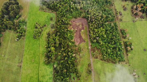 Sector Rupanquito Puyehue Región De Los Lagos.