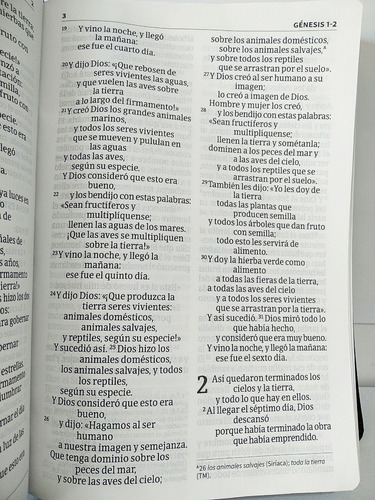 Imagen 9 de 10 de Santa Biblia Nvi Letra Gigante Piel Fabricada Color Marrón