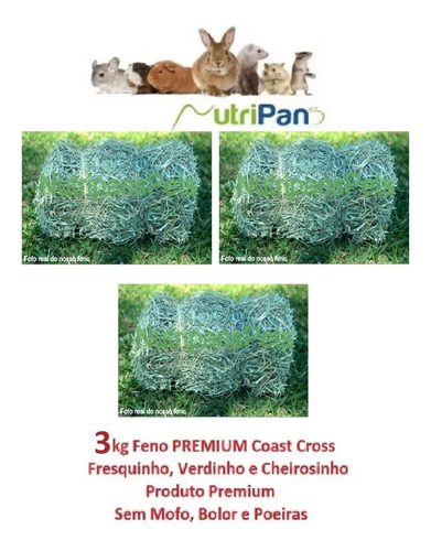 Feno Coast Cross Premium Coelhos Roedores Mini Pigs 3kg