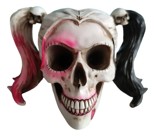 Figuras De Esqueleto Humano Modelo De Cráneo Femenino De C