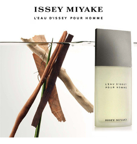 Perfume Importado Masculino Issey Miyake 200ml Edt L'eau D'issey Original Lacrado Com Selo Adipec E Nota Fiscal Pronta Entrega 100% Original