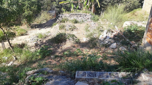Imagem 3 de 12 de Lote Para Venda Em Ribeirão Das Neves, Bom Sossego - L13_1-2088493