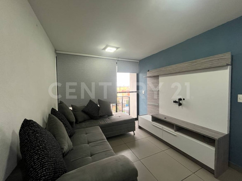 Departamento Amueblado En Renta, Los Reyes, Coyoacan