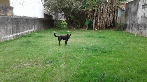 Imagem 8 de 13 de Casa Venda Caraguatatuba - Sp - Praia Das Palmeiras - 531