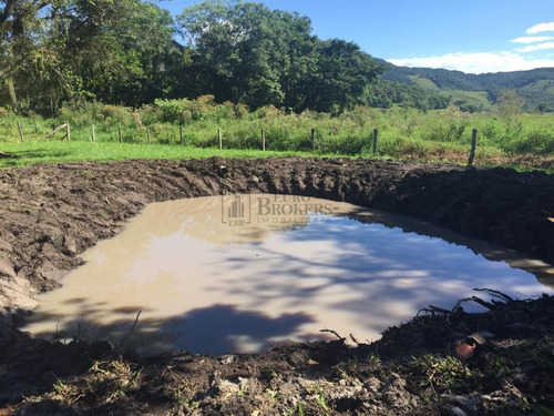 Imagem 27 de 30 de Sítio Em Perfeito Estado Na Área Rural De Camboriú - 1148