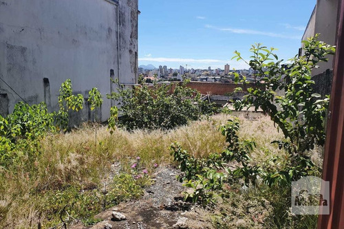 Imagem 2 de 6 de Lote À Venda No Renascença - Código 275822 - 275822