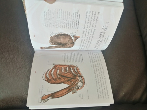 Libro Anatomy (Usado)