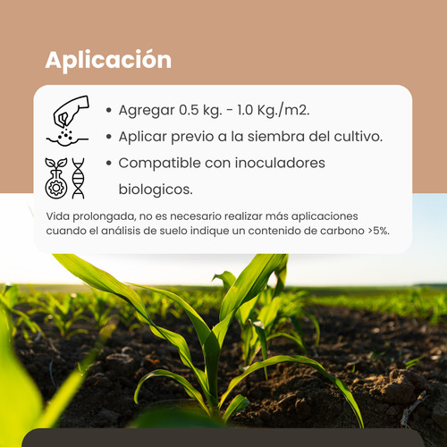 Bio Carbón - (biochar) Mejorador De Suelos/estructura