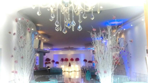 Imagem 7 de 10 de Salão Decorado + Cerimonia+ Buffet Completo Apenas R$4990,00
