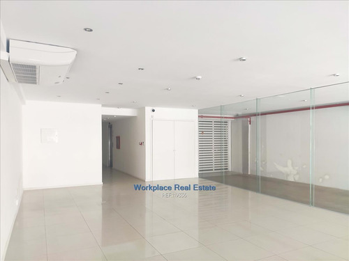 Imagen 6 de 22 de Edificio De Oficinas Exclusivo - P. Rodó - Venta Con Renta