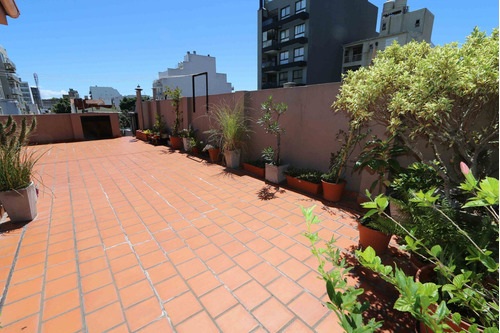 Imagen 3 de 30 de Venta Ph 4 Ambientes Villa Ortuzar Patio Terraza