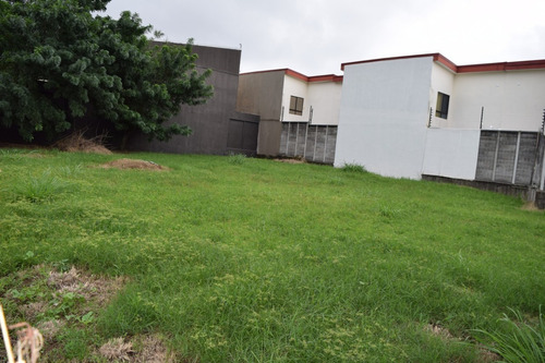 Imagen 9 de 13 de Lote 590 M2, Con 29m De Frente A Calle, Es Plano, Y Se Ubica A 500m Mas X Menos San Joaquín. Potencial Para Apartamentos