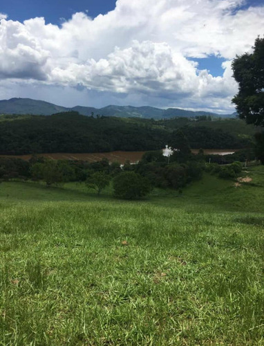 Imagem 7 de 14 de F15 - Lotes De 10.000 Mts Sem Consultar Spc/serasa