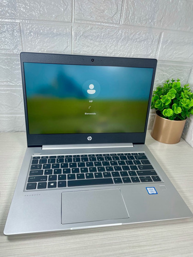 Laptop Hp Probook 430 G6 Core I7-8th Ram 16gb + 512gb Plateado (Reacondicionado)