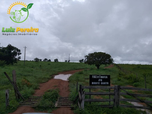 Imagem 2 de 15 de Fazenda À Venda Em São Valério -to - 1.026 Hec (excelente Para Agricultura) - 1520