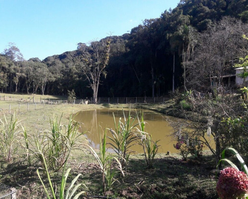 Imagem 8 de 22 de Sitio À Venda Em Juquitiba - 307 - 32982833