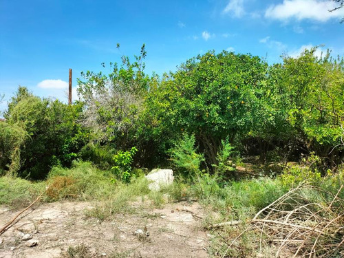 Terreno En Venta En Villa De Guadalupe, Lerdo, Durango