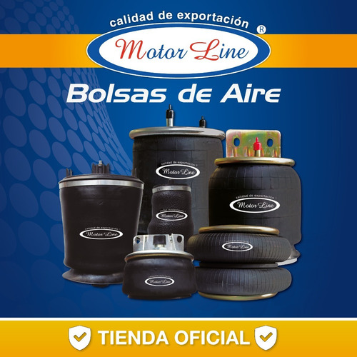 Bolsa De Aire Susp. Para Kenworth (8 Bolsas), Az 9422-028