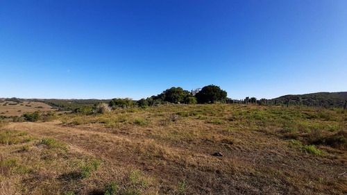 50 Hectáreas En Calera Del Rey, Ruta 60