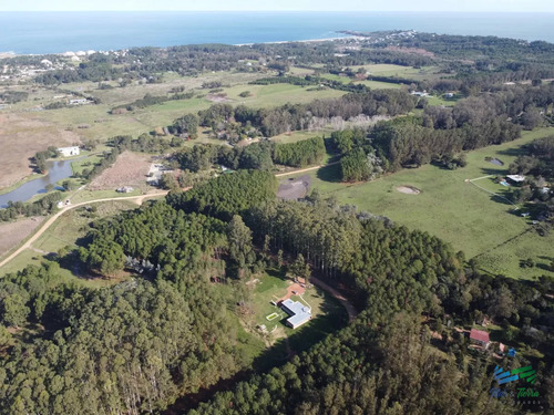 Vendo Terreno De 1 Hectárea Tipo Chacra En Laguna Del Diario, Punta Del Este