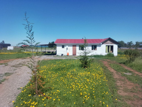 Vendo Parcela Con Cabaña En Lago Machicura D3 B2 Colbún