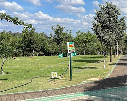 Vendo Jazigo Com 3 Gavetas No Cemitério Parque Dos Flamboyants Campinas - Sp, Quadra Vi, Setor B 79a