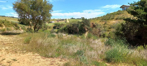 Cabaña En Parcela De 5.000mt2 En Bucalemu (74584)