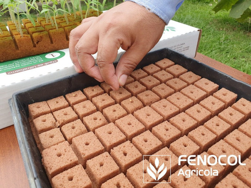 Imagen 2 de 9 de Kit Germinación Ultrafoam 2x2x3.5