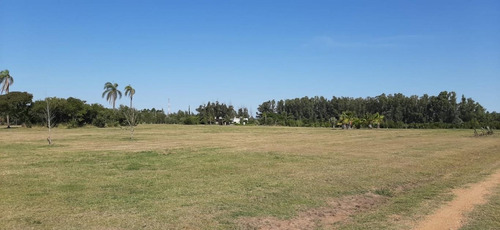 Campo Sobre Ruta Interbalnearia