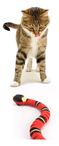 Brinquedos Interativos Para Pet Cobrinha Usb Pet Gato Cão Cor