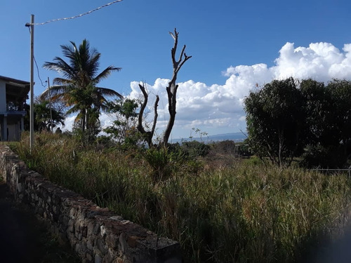 Terreno En Venta En El Asentamiento Campesino La Mata Cabudare Rpaiva