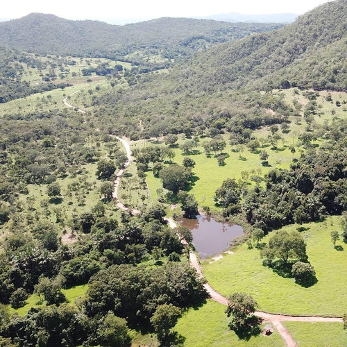 Imagem 4 de 14 de Fazenda - Jaranapolis- 52 Alqueires - Infraestrutura Complet - 16