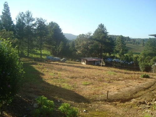 Imagem 1 de 3 de Terreno Rancho Queimado - 2445m² - 2271