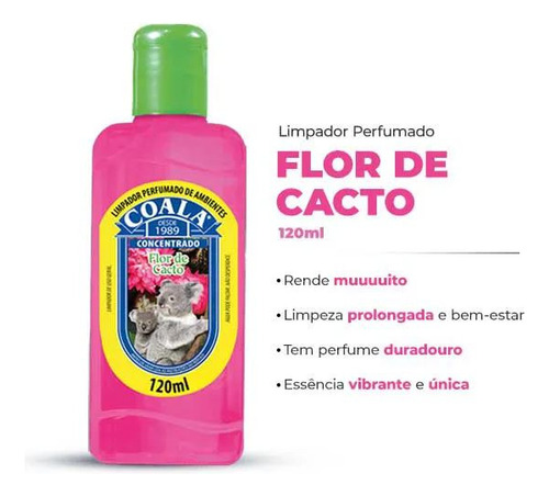 Kit 3 Limpadores Concentrados 120ml Flor De Cacto Coala