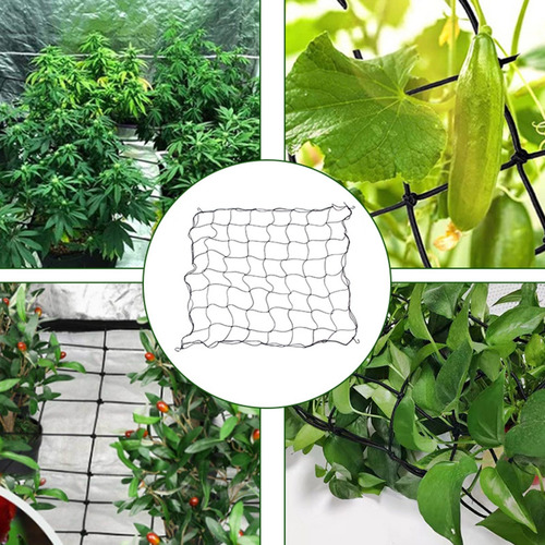 Enrejado Elástico Support Scrog Net Para Invernaderos T (90