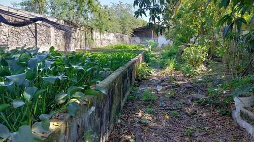 Bodega En Renta En Conkal