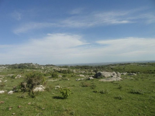 Campo En Venta En Las Cañas