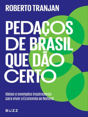 Pedaços De Brasil Que Dão Certo: Ideias E Exemplos Inspiradores Para Viver A Economia Ao Natural, De Tranjan, Roberto. Editora Buzz Editora, Capa Mole Em Português