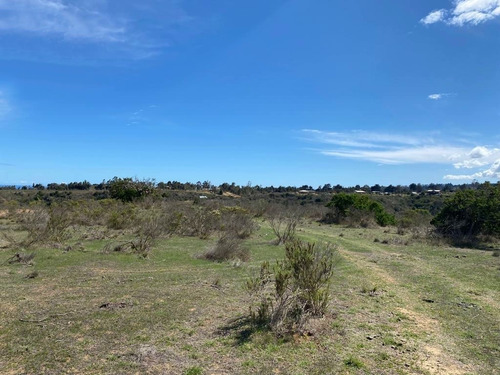 Algarrobo Inversión, 5 Hectáreas A 10 Min Playa Crédito