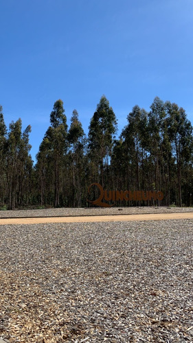 Imagen 5 de 14 de Quincheumo, Mejor Proyecto De La Zona Topocalma Pichilemu