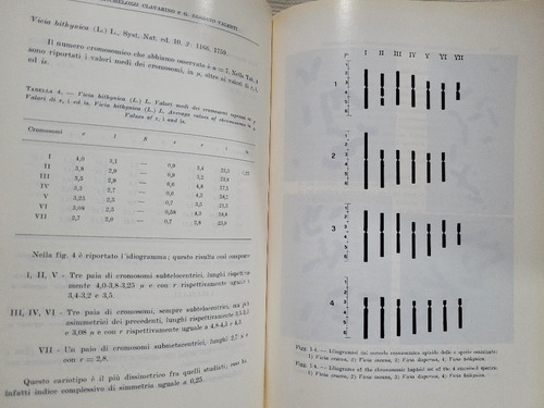 Imagen 6 de 7 de Atti Accademia Ligure Di Scienze E Lettere Vol 36 1980
