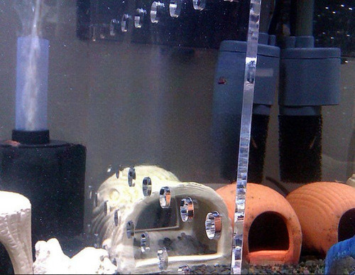 11'x 11.5 ' Acuario Separador Acrílico Con Ventosa Agujeros