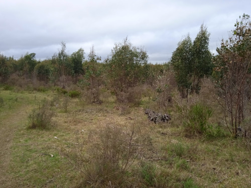 Campo De 23 Hectáreas En Canelones