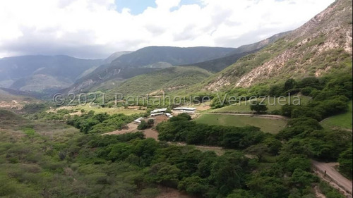 Imagen 21 de 30 de Terrenos En Venta En Moran 04245565759
