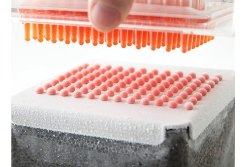 Generador Caviar Molecular Cocina Caja