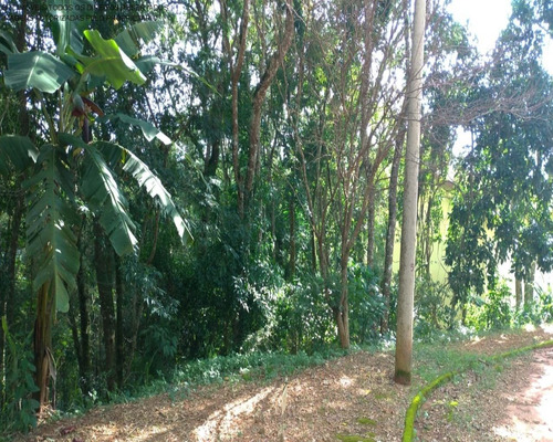 Imagem 2 de 6 de Terreno - Te00150 - 69379256