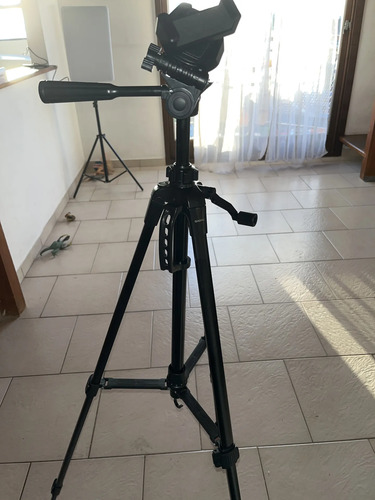 2920855094