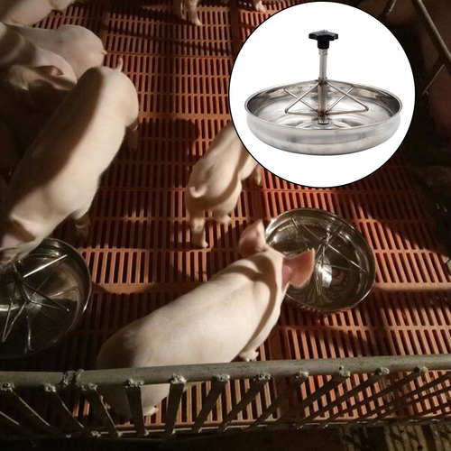 Lechones Ganado Ranura Cerda Leche Forraje Tazón De 25cm