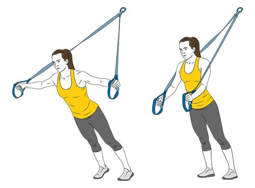 Sistema De Suspensión Training, Trxp3 Pro Ejercicio En Casa